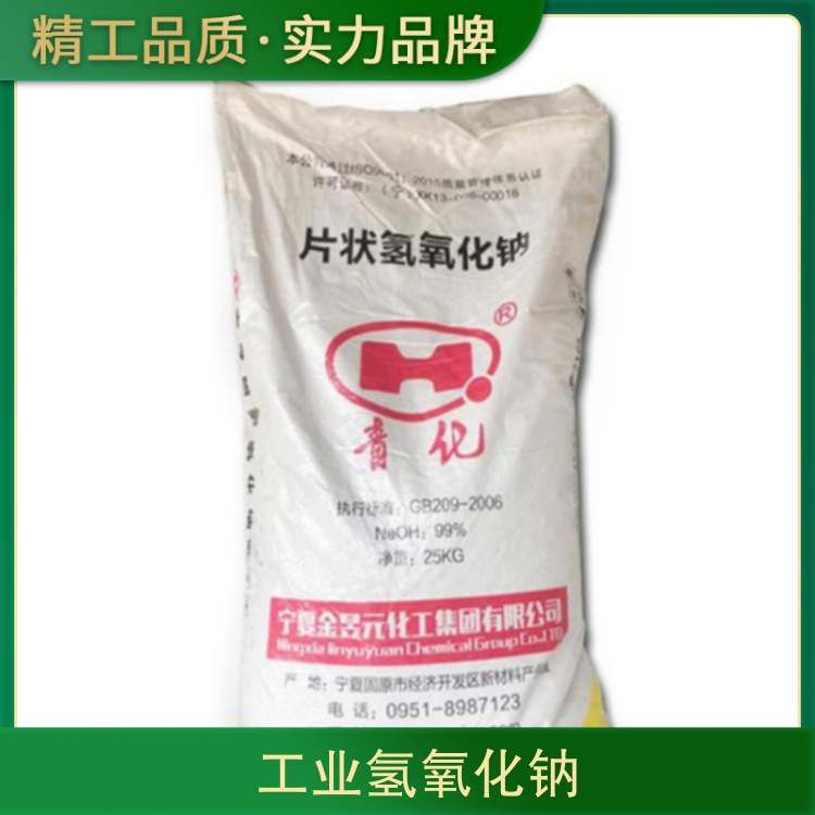 大黑逼网